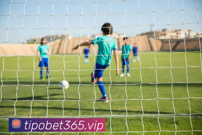 bet365平台生态图